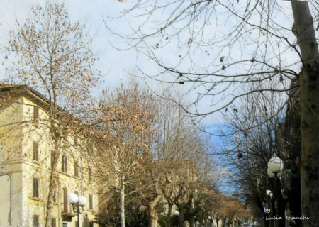 Viale Regina Elena, tarda mattina di Febbraio.