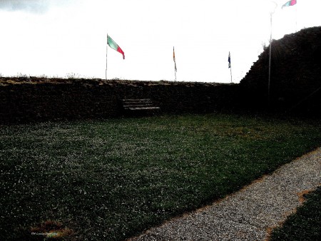 Prato di margheritine.